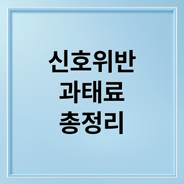 신호위반 과태료 완벽 가이드: 조회, 납부, 이의신청까지