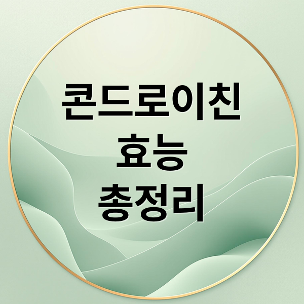콘드로이친: 관절 건강, 효능, 복용법 완벽 가이드