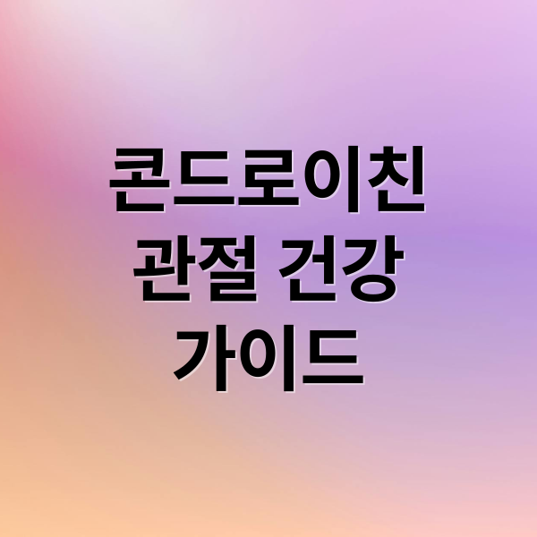 콘드로이친에 관한 종합 가이드