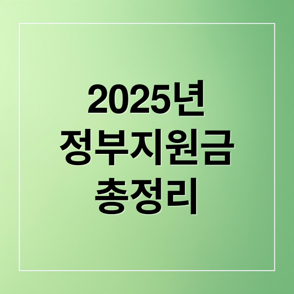 2025 정부지원금 총정리: 종류, 조건, 신청방법 완벽 가이드