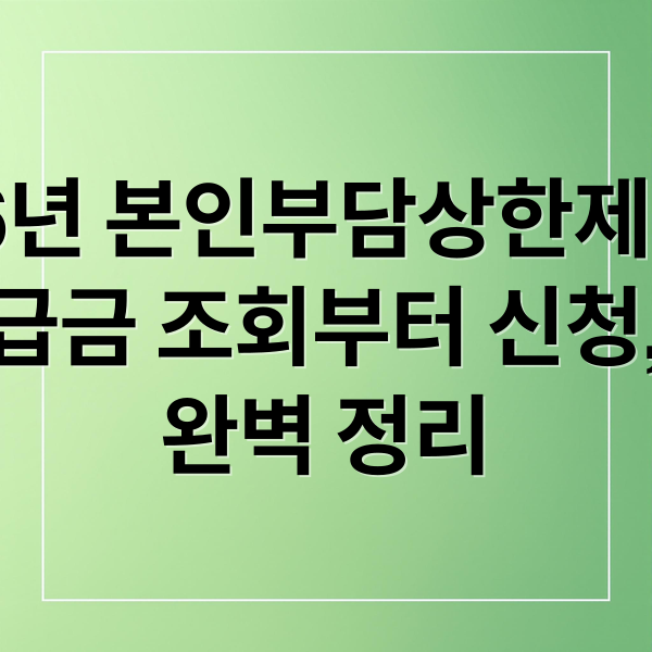 2026년 본인부담상한제 A to Z: 환급금 조회부터 신청, 기준 완벽 정리
