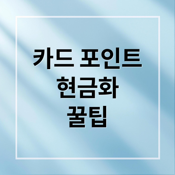 숨은 카드 포인트, 1분 만에 현금화! 통합 조회부터 활용 꿀팁까지