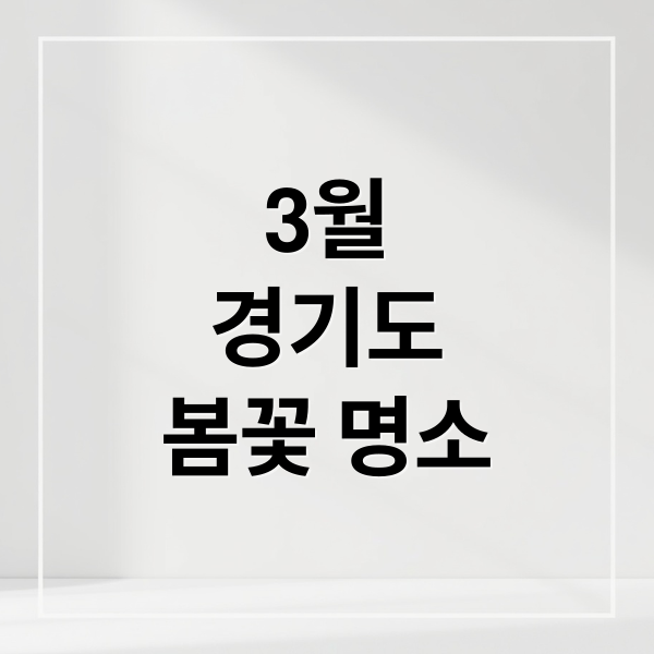 3월 경기도 봄꽃 명소 & 체험 여행지 추천 BEST