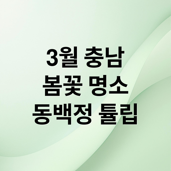 3월 충남 봄꽃 명소: 서천 동백정부터 태안 튤립까지