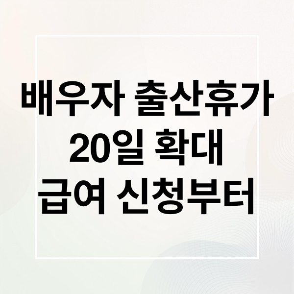 배우자 출산휴가 20일 확대: 급여 신청부터 분할 사용까지 완벽 가이드