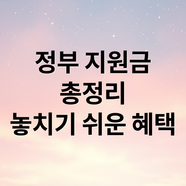 정부 지원금 총정리: 놓치기 쉬운 혜택부터 신청 꿀팁까지