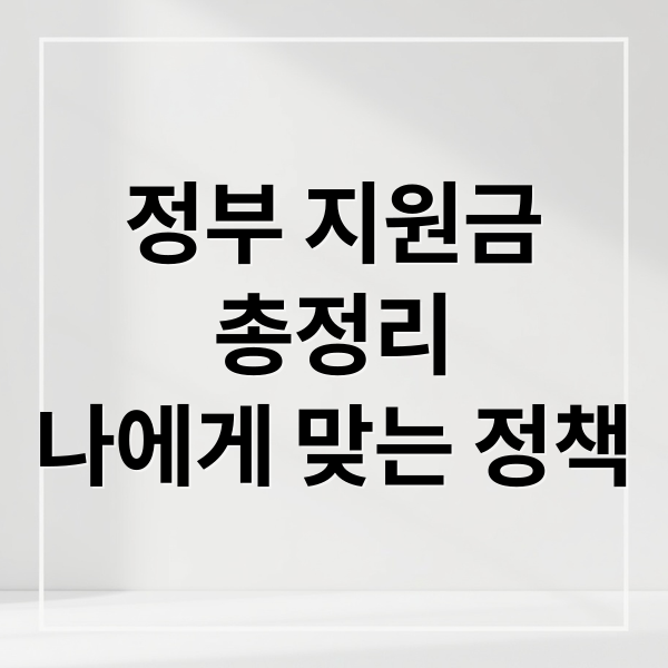 정부 지원금 총정리: 나에게 맞는 정책 찾고 100% 활용하기