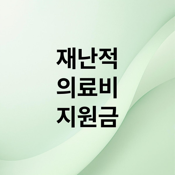 재난적 의료비 지원금: 대상부터 신청 방법까지 완벽 가이드