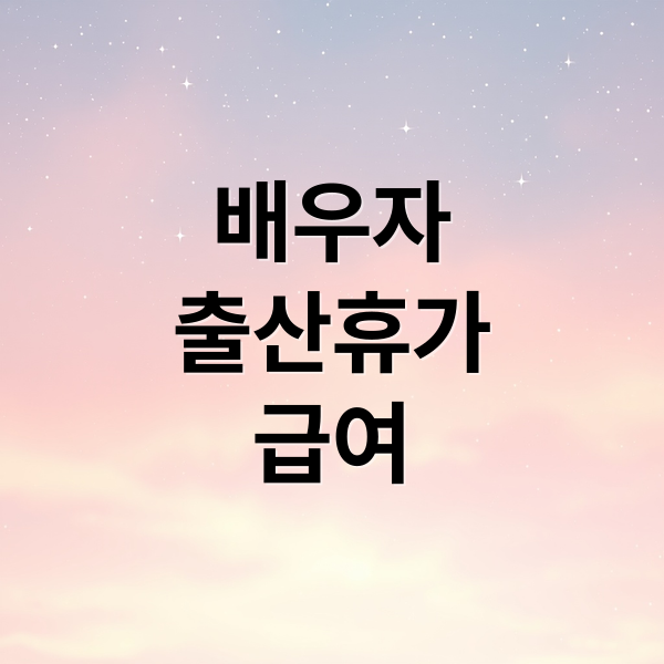 배우자 출산휴가 급여, 신청부터 지급까지 완벽 가이드